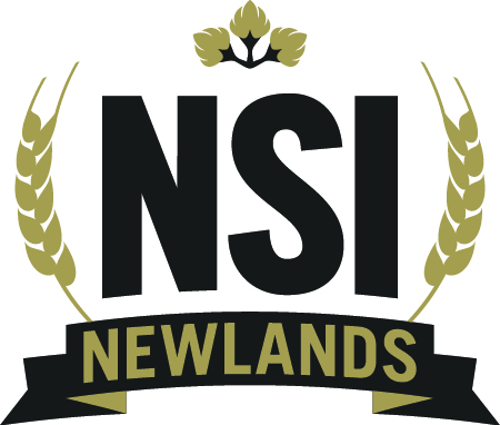 NSI logo